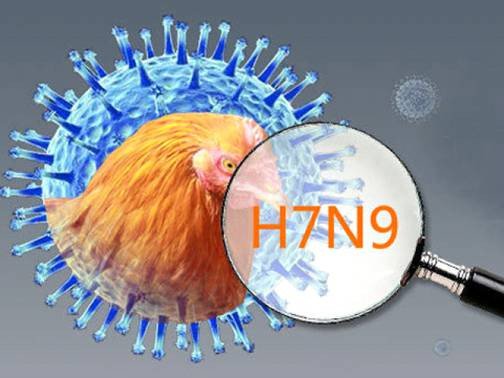 Triệu chứng và cách phòng chống bệnh cúm A/H7N9