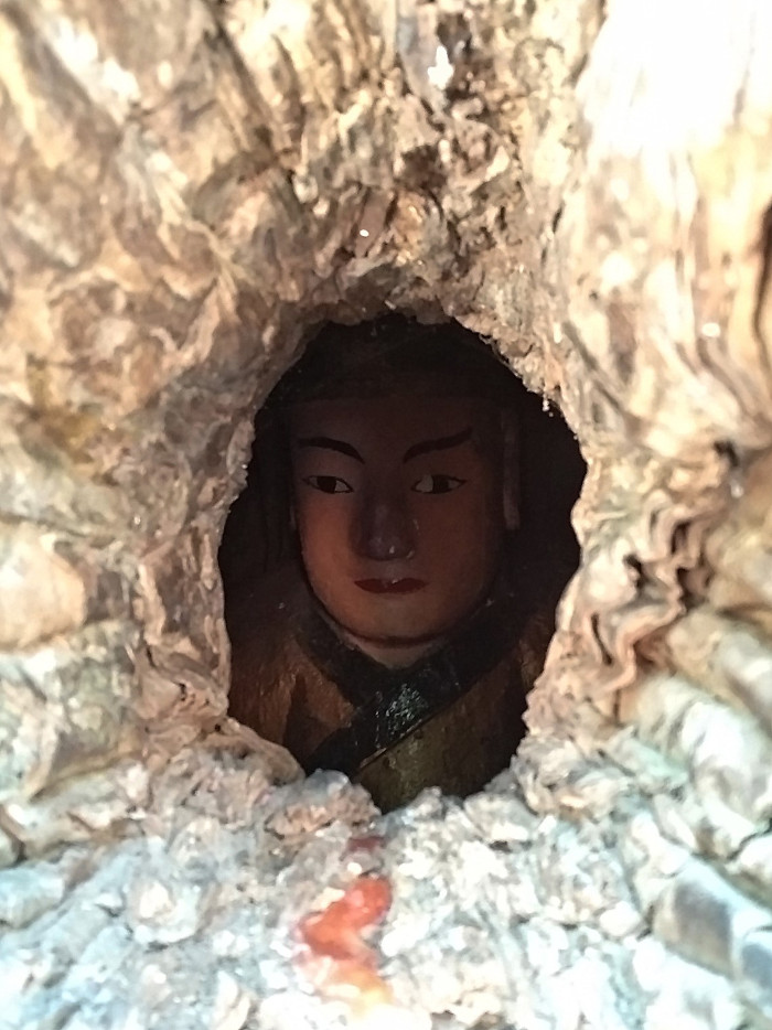 Trung Quốc: Đầu tượng Phật lộ ra từ thân cây 1.000 tuổi
