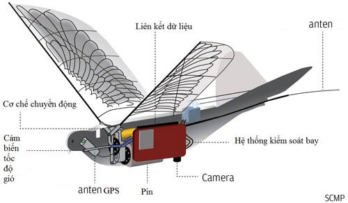 Trung Quốc sáng chế UAV chim bồ câu bịt mắt radar