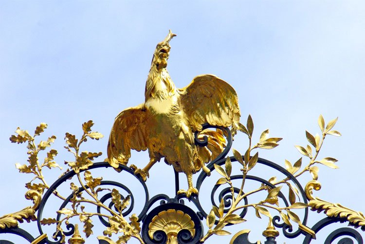 Truy tìm nguồn gốc gà trống Gô loa, biểu tượng của nước Pháp
