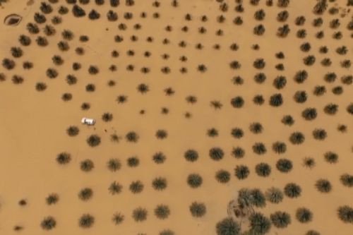 Từ con số không đến robot nông nghiệp bay đầu tiên của Sudan