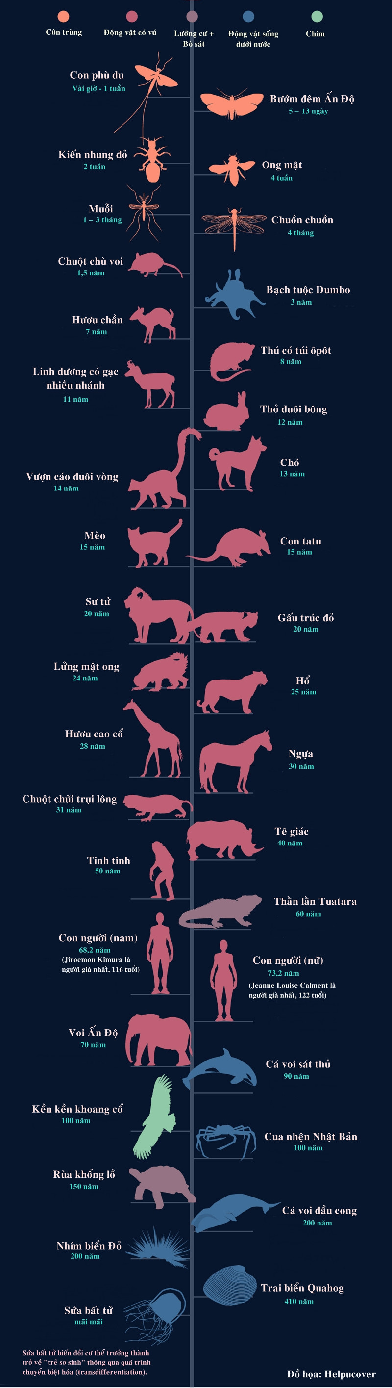Tuổi thọ của các loài động vật trong tự nhiên