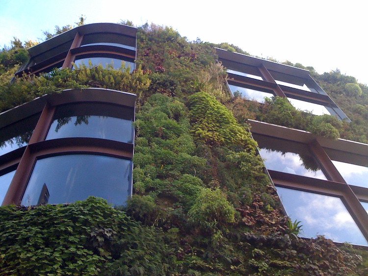 Tường cây - giải pháp làm xanh đô thị hiện đại