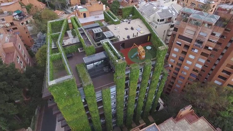 Tường cây - giải pháp làm xanh đô thị hiện đại