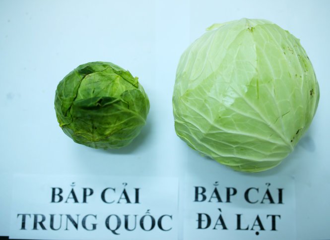 Tuyệt chiêu đơn giản để nhận biết rau củ quả Trung Quốc