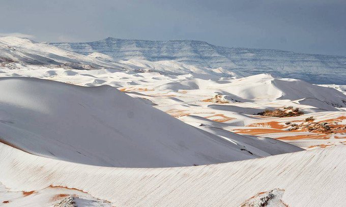 Tuyết rơi phủ trắng sa mạc Sahara
