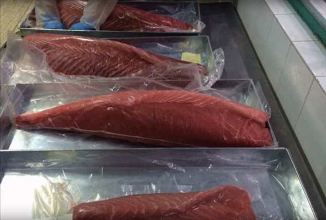 Úc cảnh giác cá ngừ được làm tươi lại bằng Carbon Monoxide