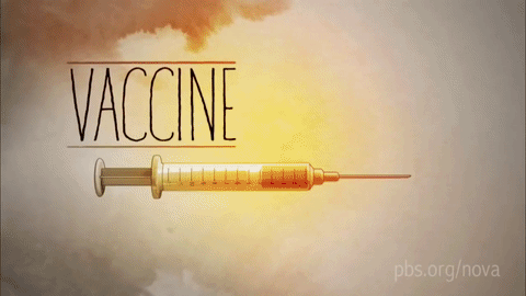 Vì sao chúng ta lại phải tiêm vaccine?