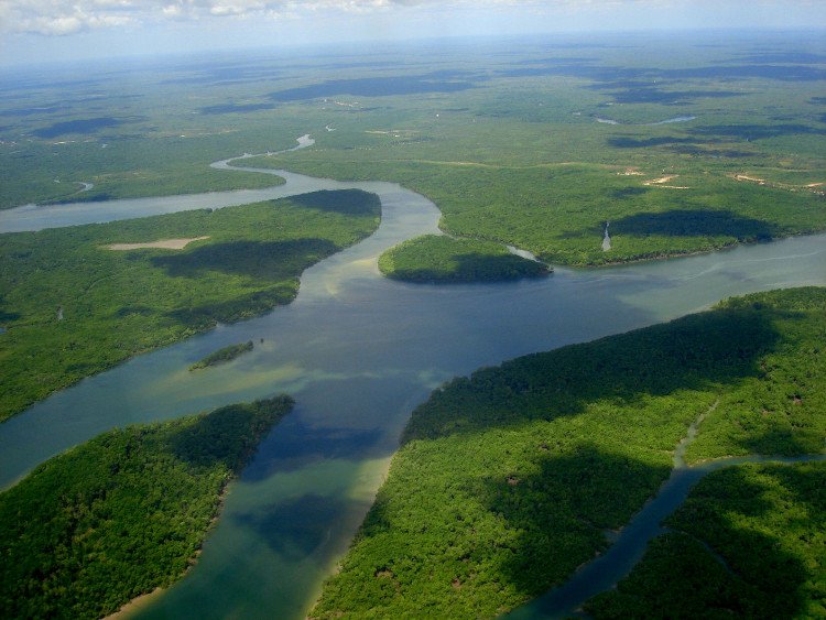 Vì sao sông Amazon dài hơn 6.000km không có cầu bắc ngang?