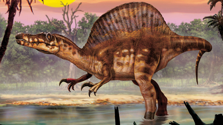Video: Cuộc chiến giữa Giganotosaurus vs Spinosaurus, con nào sẽ thắng?
