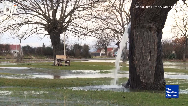 Video: Hiện tượng nước ồ ạt trào ra từ thân cổ thụ
