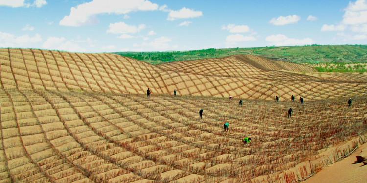 Video: Hỗn hợp giúp Trung Quốc biến sa mạc thành đất trồng