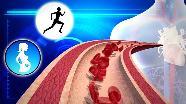 Video: Loại protein kích thích tim phát triển khỏe mạnh
