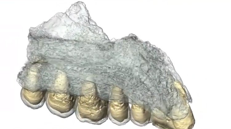 Video: Phát hiện hóa thạch người hiện đại lâu đời nhất ngoài châu Phi