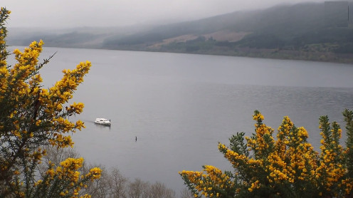 Video: Quái vật hồ Loch Ness ngóc đầu bơi gần thuyền chở khách