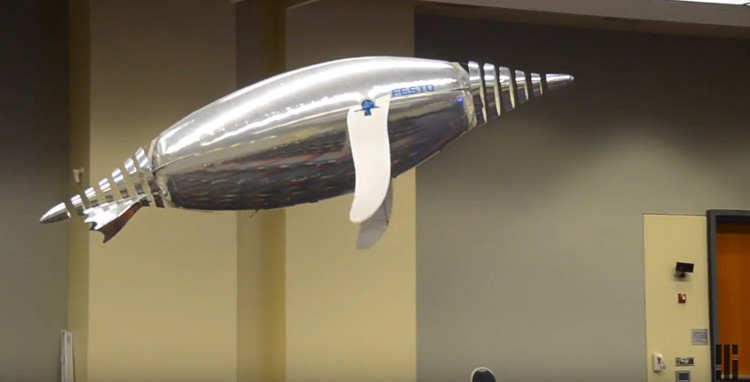 Video: Robot bay kỳ diệu của Festo