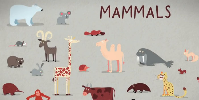 Video: Tìm hiểu về ba kiểu sinh sản ở các loài động vật