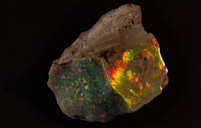 Viên đá opal 600.000 USD lần đầu ra mắt công chúng