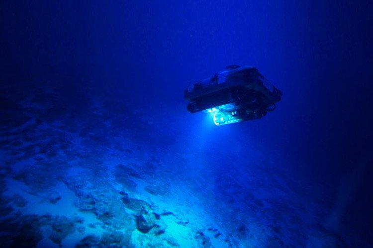 Vùng biển sâu 300m bí ẩn ở Bermuda: Xuất hiện sinh vật chưa từng biết trên Trái Đất