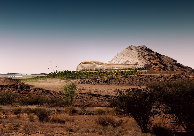 Vườn thực vật lớn nhất thế giới trên sa mạc Oman