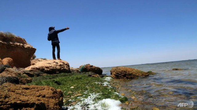 WWF: Địa Trung Hải sắp trở thành biển nhựa