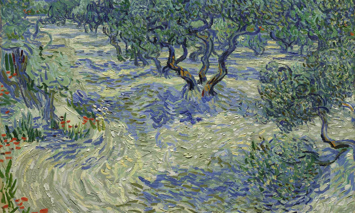 Xác châu chấu mắc kẹt 128 năm trong tranh Van Gogh