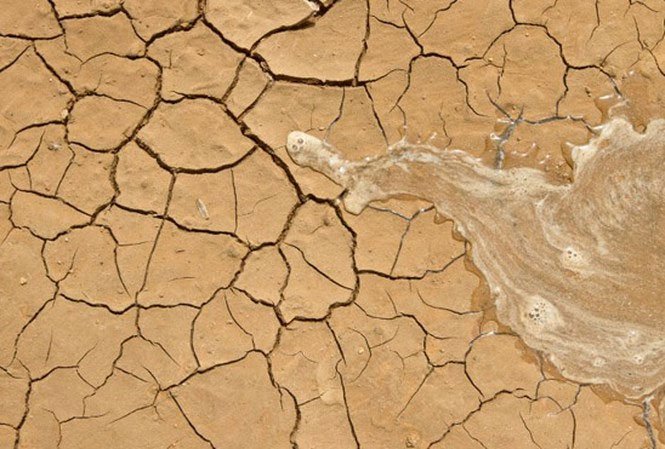 Xanh hoá sa mạc nhờ siêu công nghệ chế tạo nước và canh tác khô