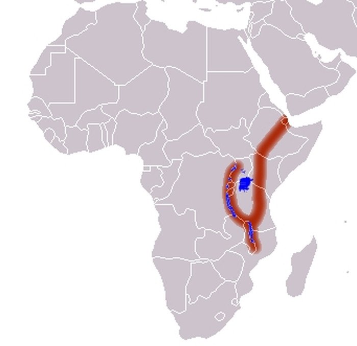 Xuất hiện rãnh nứt khổng lồ, bằng chứng châu Phi bắt đầu tách làm hai, tạo thành lục địa mới