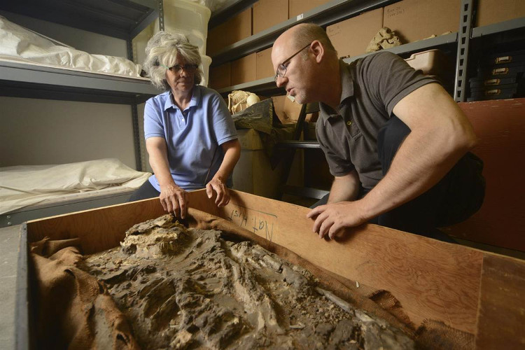10 khám phá khảo cổ bị lãng quên đã được tìm lại