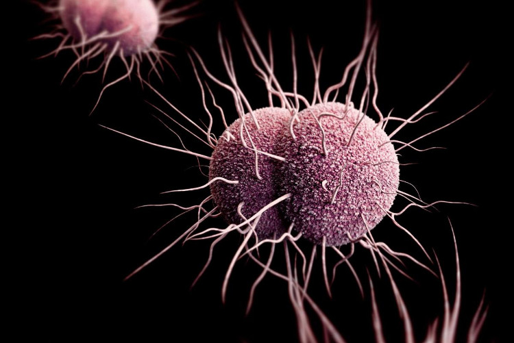 10 lý do tại sao kháng kháng sinh đáng sợ ngay từ bây giờ