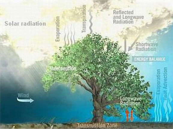 10 mẫu cây nhân tạo giảm ô nhiễm thành phố trong tương lai