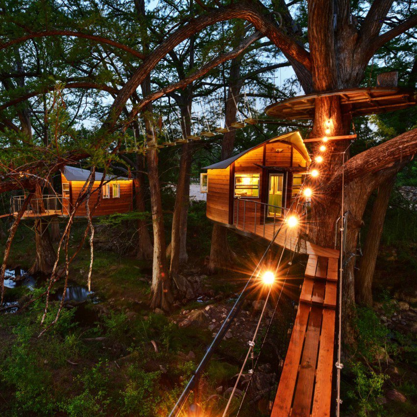10 ngôi nhà trên cây “siêu đẹp” trên thế giới