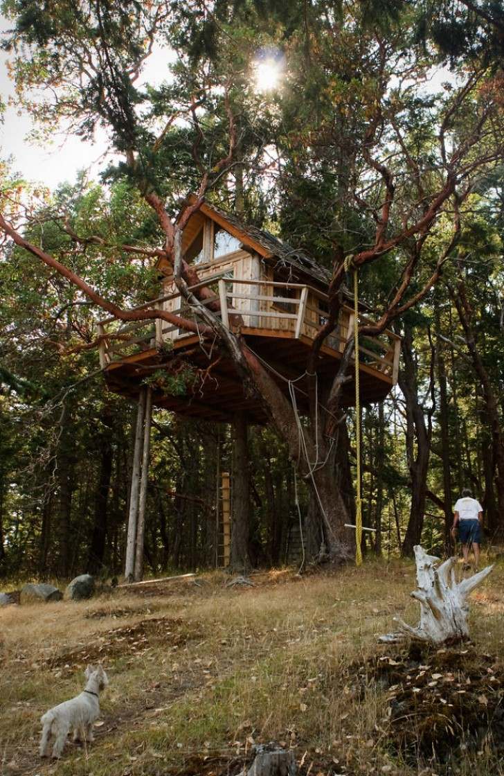10 ngôi nhà trên cây “siêu đẹp” trên thế giới