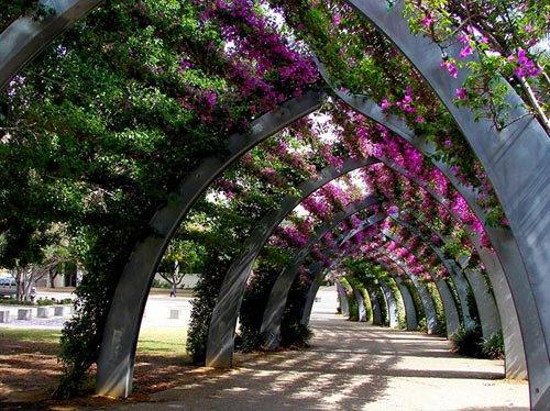 15 con đường hoa đẹp nhất thế giới