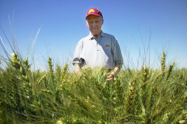 5 năm ngày mất của Norman Borlaug - Cha đẻ của cuộc “cách mạng xanh”