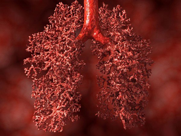 6 điều thú vị về phổi không phải ai cũng biết