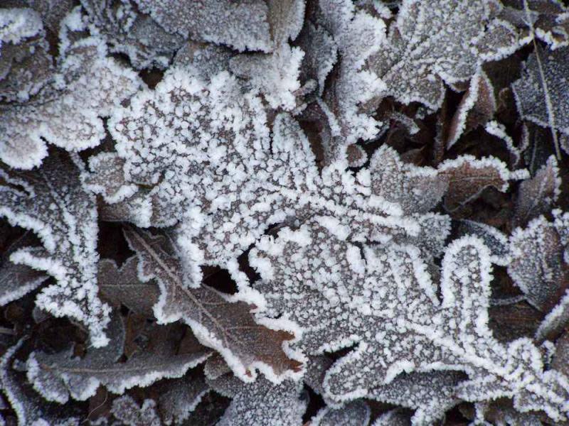 6 hiện tượng thiên nhiên tuyệt đẹp chỉ có vào mùa đông
