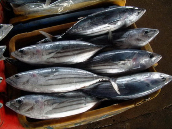 7 món hải sản phổ biến nhưng cực kì nguy hiểm