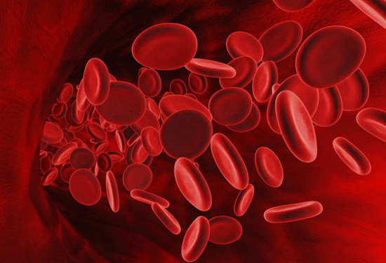 Ấn Độ công bố phát triển thành công máu nhân tạo