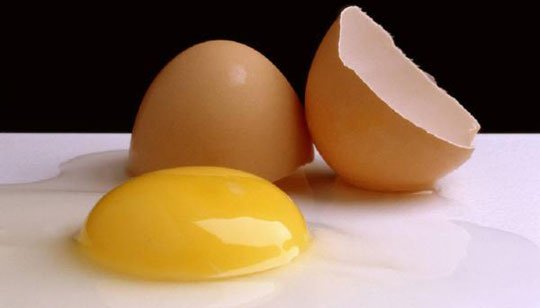 Ăn quá nhiều cholesterol có thể gây tổn hại não