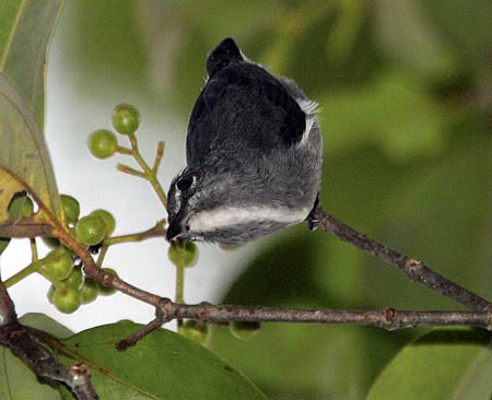 Ảnh khoa học đẹp trong tháng