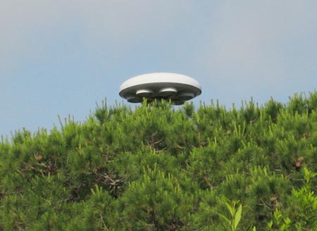 Anh sẽ hủy các báo cáo về UFO