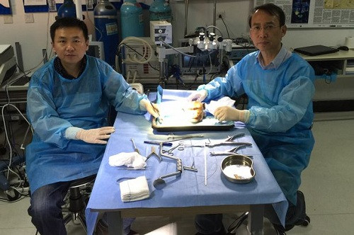 Bác sĩ Trung Quốc: Đừng coi người cấy ghép đầu là quái vật
