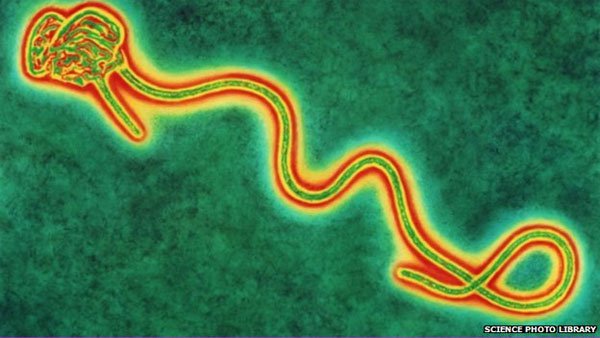 Bàn luận việc lây nhiễm qua không khí của virus Ebola