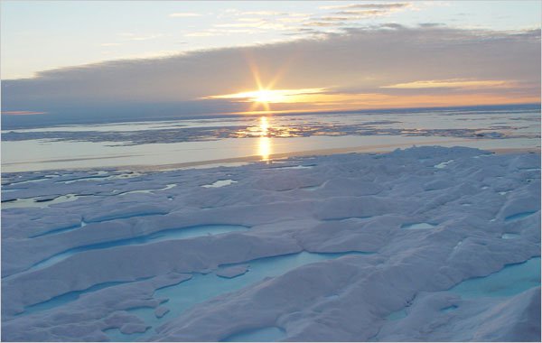 Băng ở Bắc Cực sẽ biến mất trong 10 năm tới?