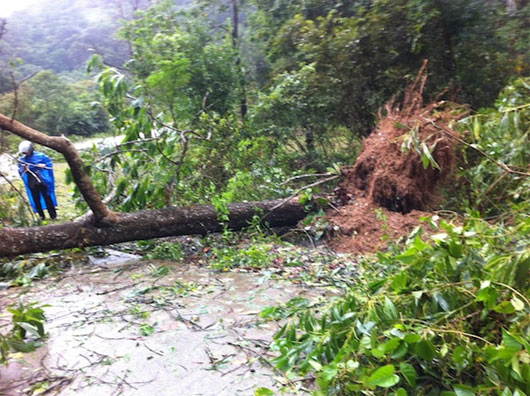 Bão Haiyan đã ra khỏi Việt Nam, ít nhất 13 người chết