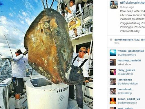 Bắt được “cá quái vật” 362kg