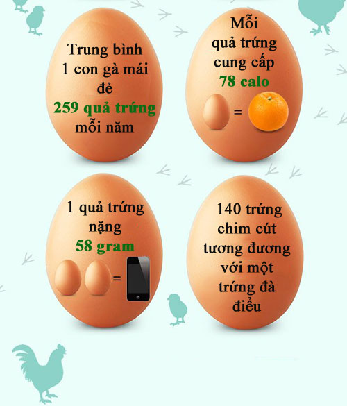 Bất ngờ thú vị về quả trứng