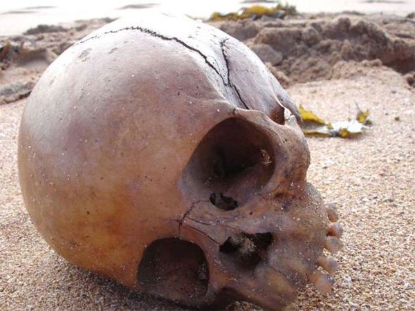 Bí ẩn bộ xương hàm 1000 tuổi bên bờ biển