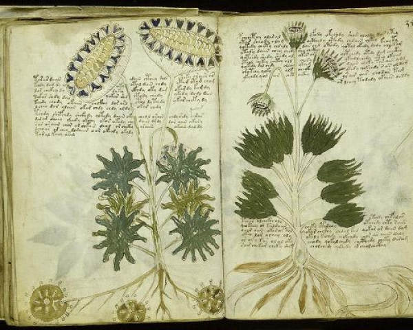 Bí ẩn cuốn sách Voynich